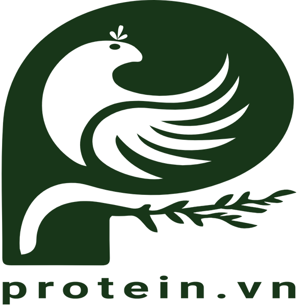 Protein Vn