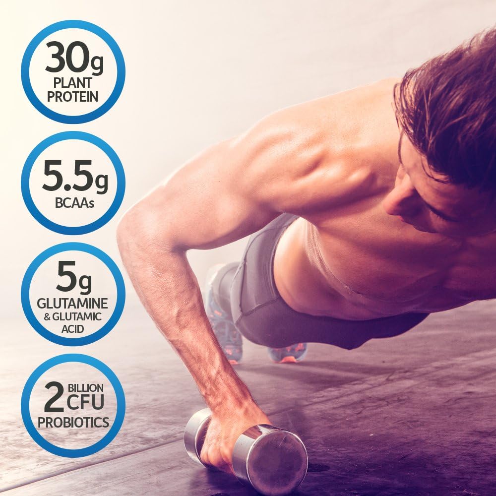 Bột Protein Thuần Chay Hữu Cơ Sport Garden of Life
